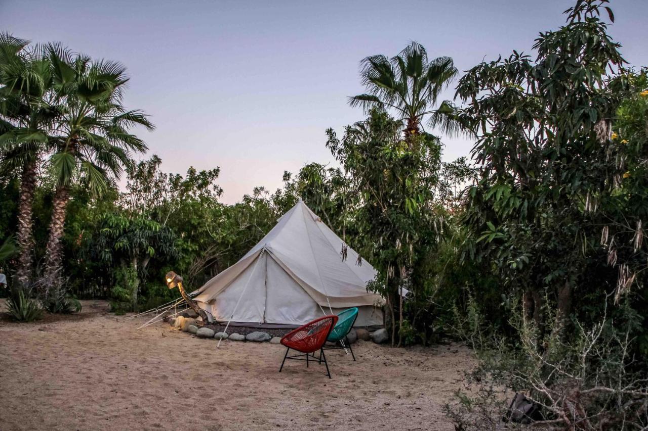 Todos Santos Hostel super fast&stable satellite wifi Exterior foto