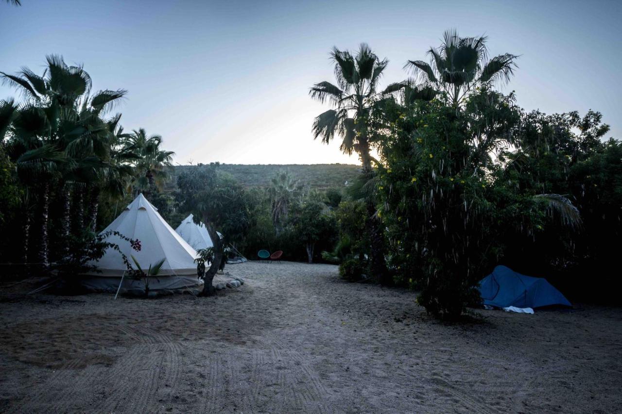 Todos Santos Hostel super fast&stable satellite wifi Exterior foto