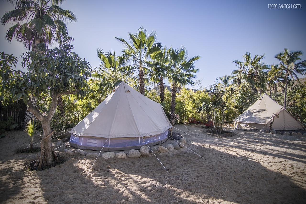 Todos Santos Hostel super fast&stable satellite wifi Exterior foto